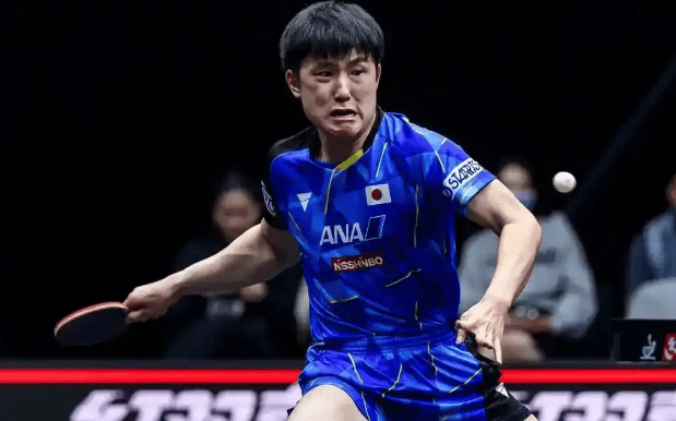 波兰队碾压奥地利队，张本智和高光表现