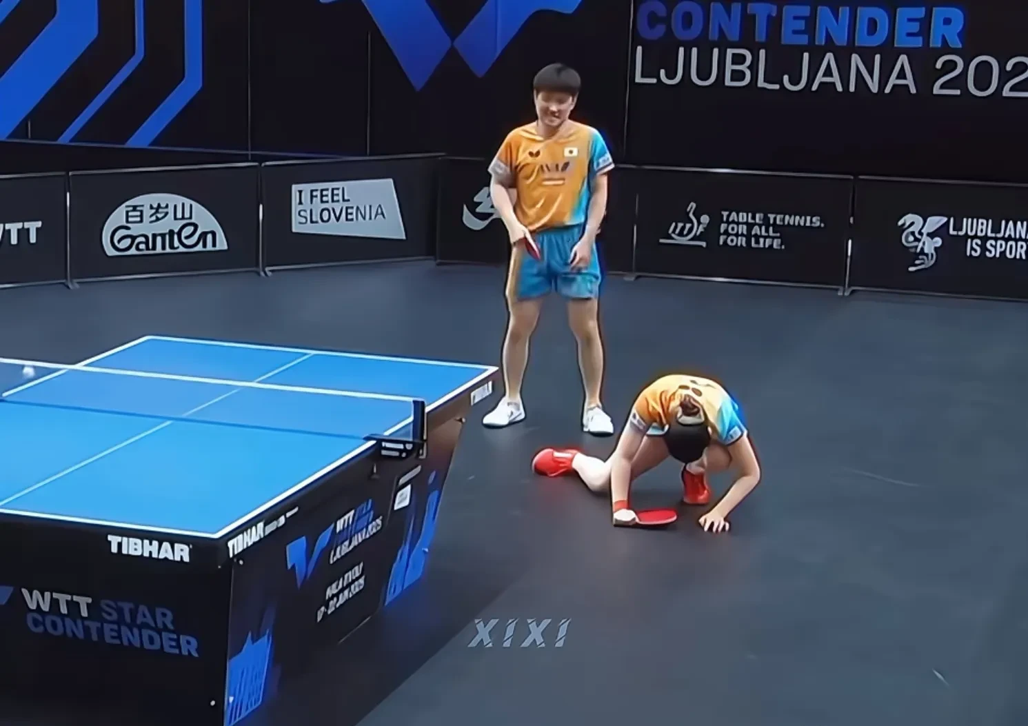 波兰队碾压奥地利队，张本智和高光表现