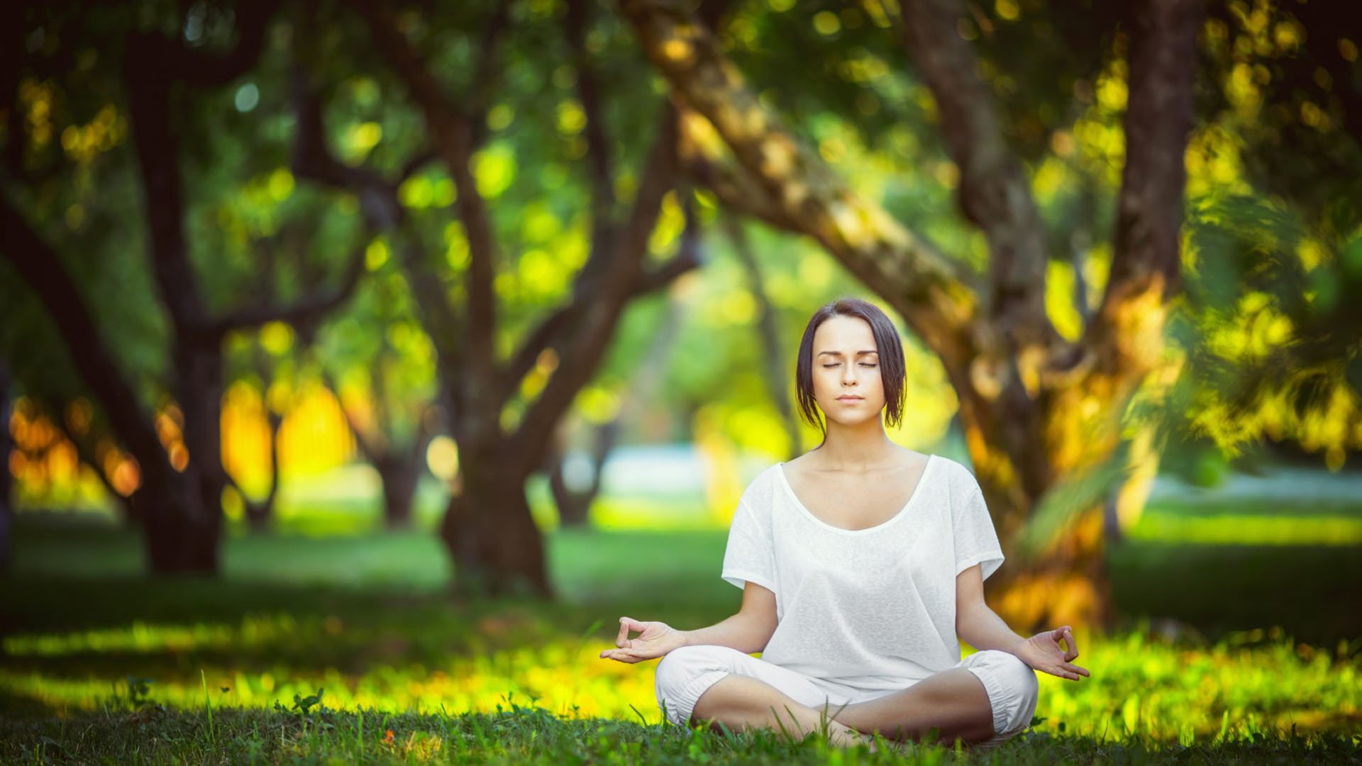 绝命一击,当匈牙利铁蹄碾过太极虎,哈基米在沉默中刺出2026年第一滴血